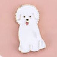 Bichon Frise