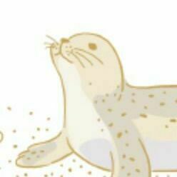 02 Harp Seal