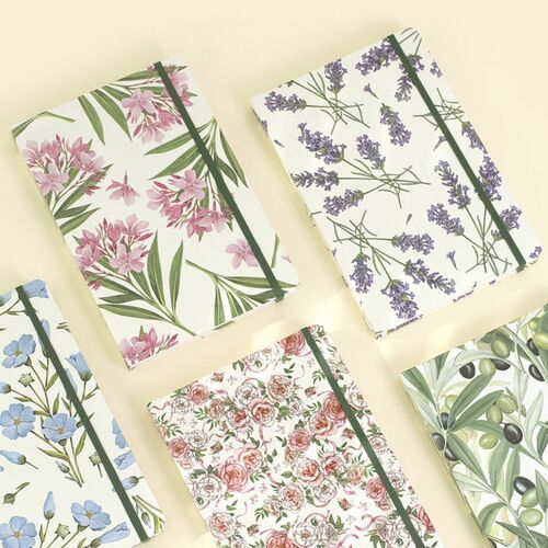 Large Florence Daily Journal v2