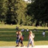 Photograph 6 Ring A5 Note Refill, 01 Park