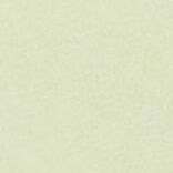 2025 Slim & Wide Weekly Planner, 02 Melon Sherbet