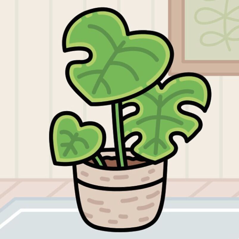 01 Monstera