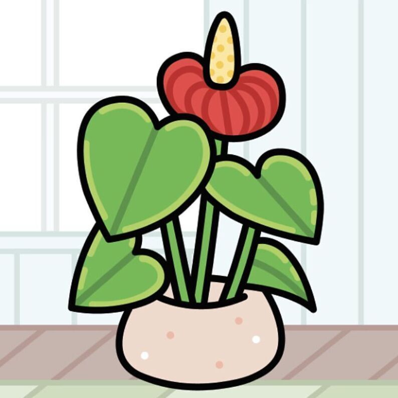 02 Anthurium