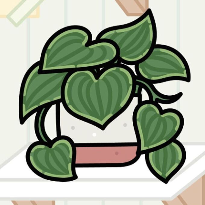 03 Philodendron
