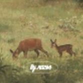 2pcs Nature Arch Bookmark Set, Type 09