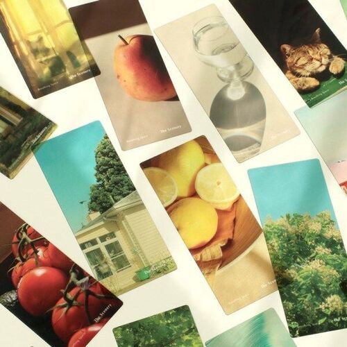 3pcs Scenery Translucent Bookmark Set