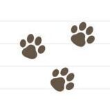 Paws