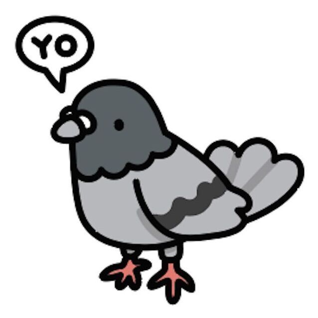 21 Pigeon