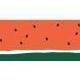 Dailylike Masking Tape v14, Watermelon