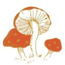 03. Mushroom