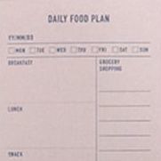 Daily Food Plan