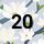20 White Blossom