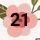 21 Pink Blossom